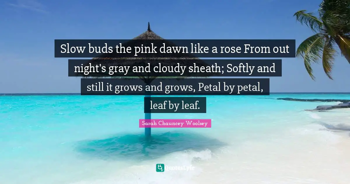 Rose Quotes: "Slow buds the pink dawn like a rose From out night's gray and cloudy sheath; Softly and still it grows and grows, Petal by petal, leaf by leaf."