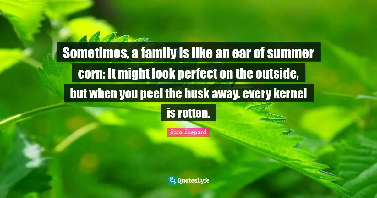Sometimes, a family is like an ear of summer corn: It might look perfect on the outside, but when you peel the husk away. every kernel is rotten.