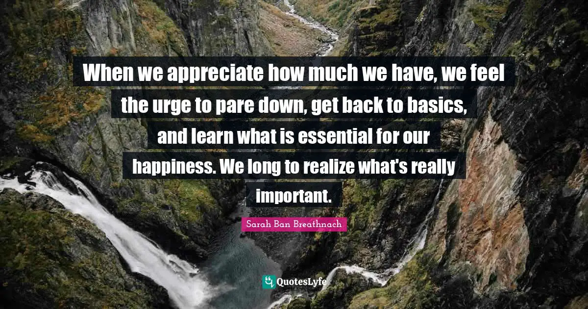 When we appreciate how much we have, we feel the urge to pare down, get back to basics, and learn what is essential for our happiness. We long to realize what's really important.