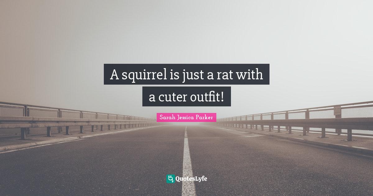 A squirrel is just a rat with a cuter outfit!... Quote by Sarah Jessica