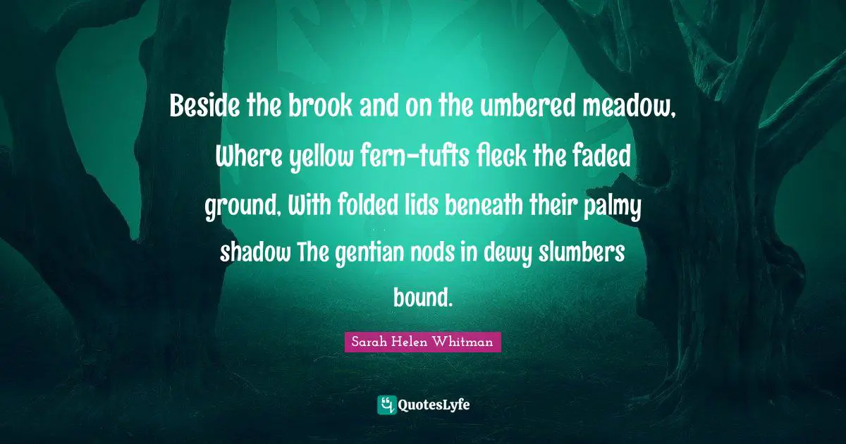 Beside the brook and on the umbered meadow, Where yellow fern-tufts fleck the faded ground, With folded lids beneath their palmy shadow The gentian nods in dewy slumbers bound.