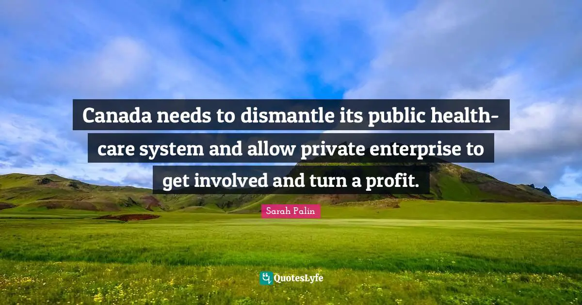 Canada needs to dismantle its public health-care system and allow private enterprise to get involved and turn a profit.