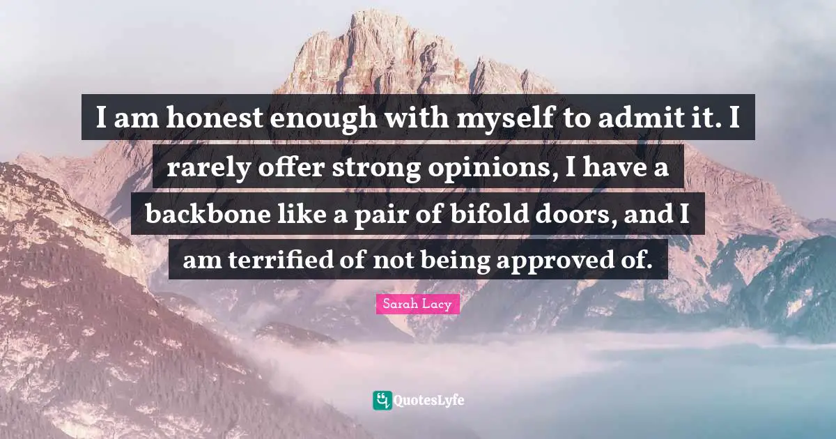 I am honest enough with myself to admit it. I rarely offer strong opinions, I have a backbone like a pair of bifold doors, and I am terrified of not being approved of.