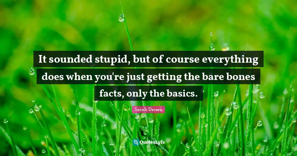 It sounded stupid, but of course everything does when you're just getting the bare bones facts, only the basics.