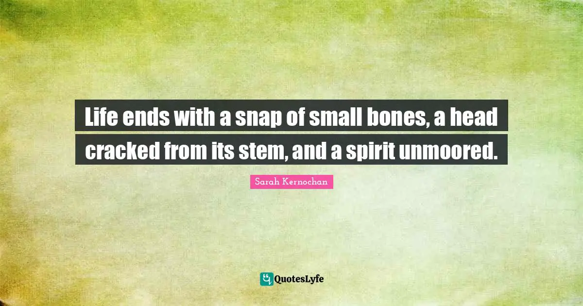 Life ends with a snap of small bones, a head cracked from its stem, and a spirit unmoored.
