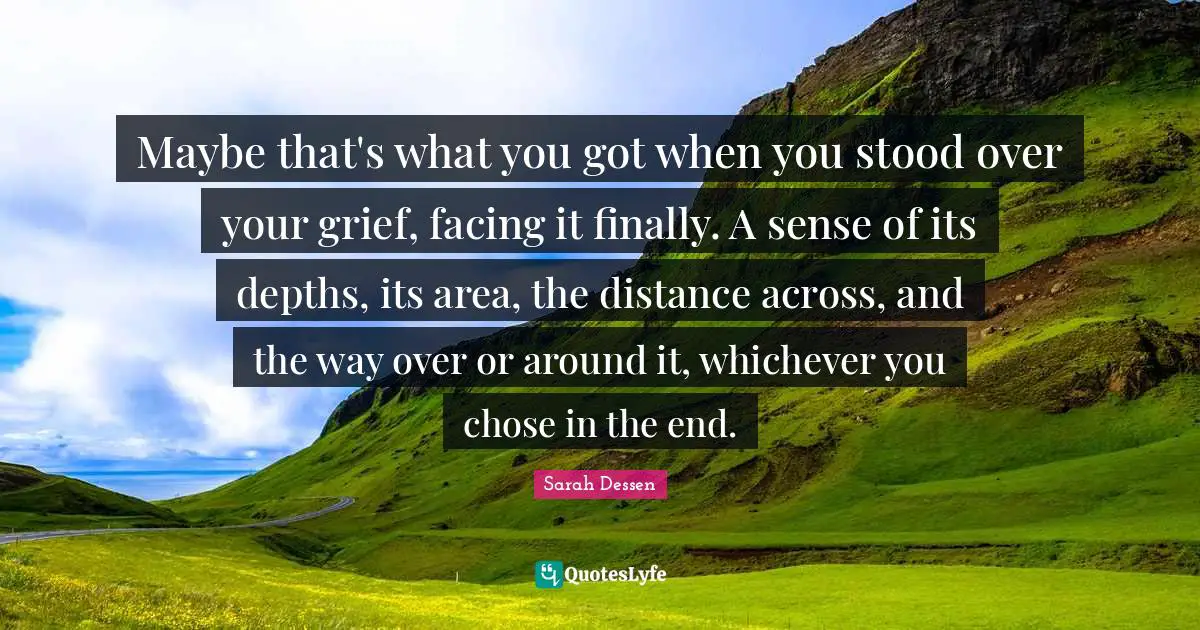 Maybe that's what you got when you stood over your grief, facing it finally. A sense of its depths, its area, the distance across, and the way over or around it, whichever you chose in the end.