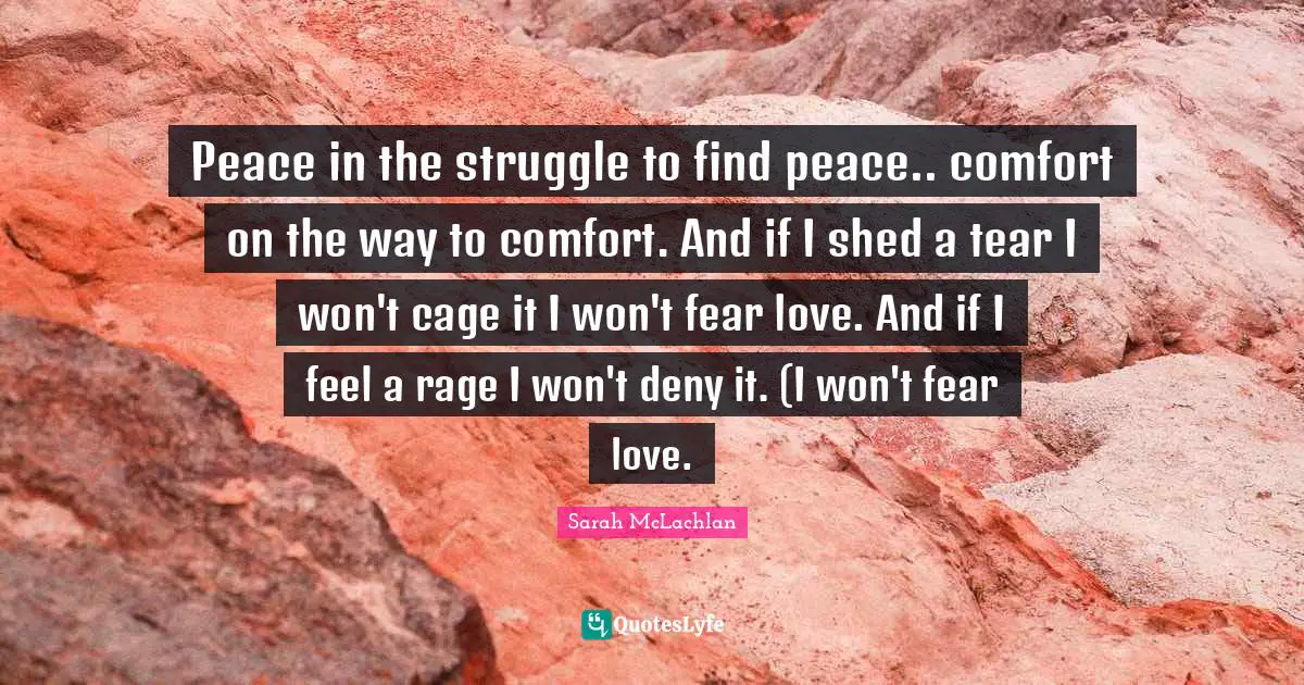 Peace in the struggle to find peace.. comfort on the way to comfort. And if I shed a tear I won't cage it I won't fear love. And if I feel a rage I won't deny it. (I won't fear love.