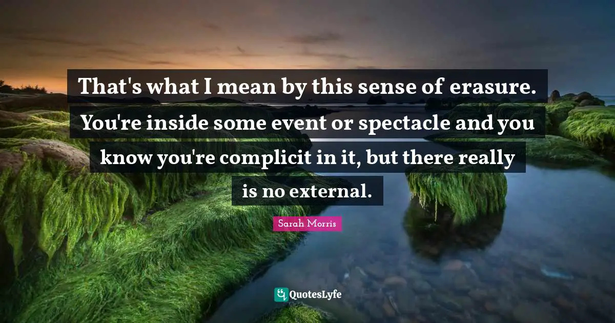 That's what I mean by this sense of erasure. You're inside some event or spectacle and you know you're complicit in it, but there really is no external.