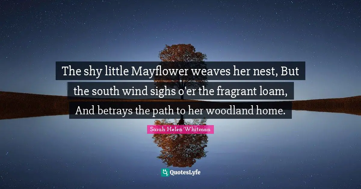 The shy little Mayflower weaves her nest, But the south wind sighs o'er the fragrant loam, And betrays the path to her woodland home.