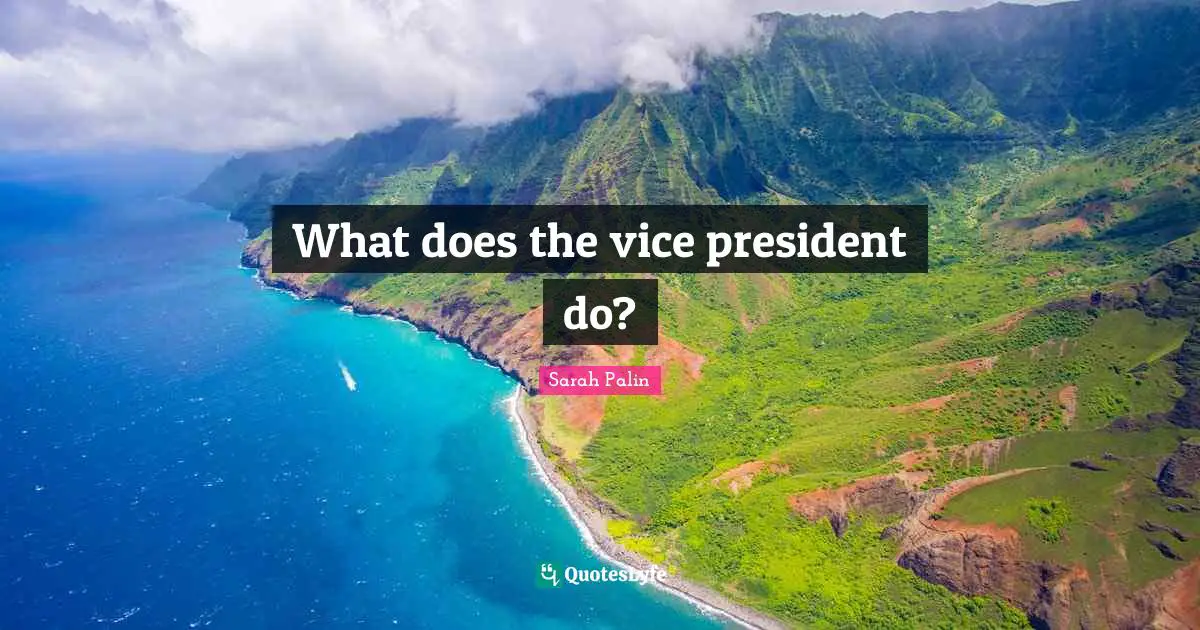 What does the vice president do?