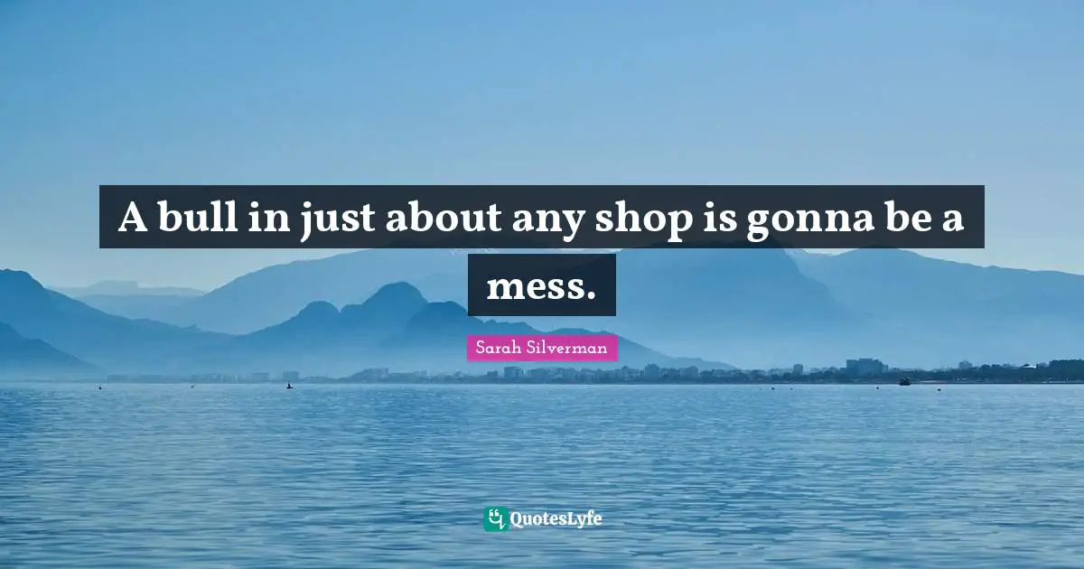 A bull in just about any shop is gonna be a mess.