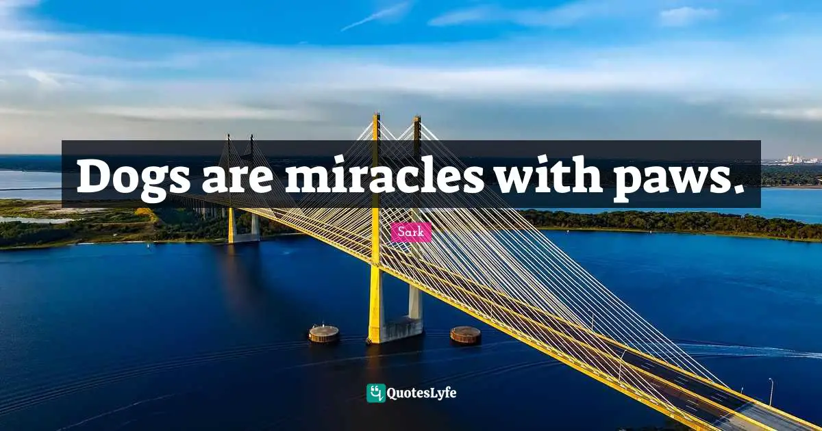 Dogs are miracles with paws.