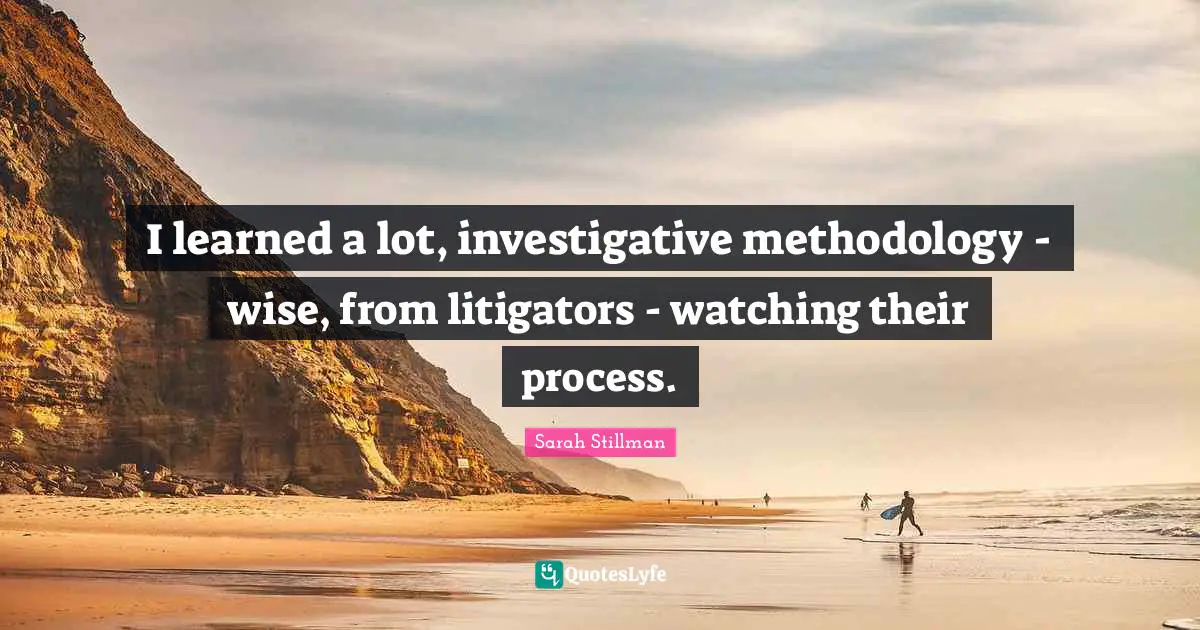 I learned a lot, investigative methodology - wise, from litigators - watching their process.