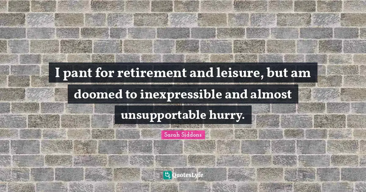 I pant for retirement and leisure, but am doomed to inexpressible and almost unsupportable hurry.