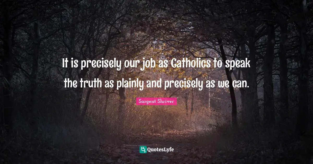 It is precisely our job as Catholics to speak the truth as plainly and precisely as we can.