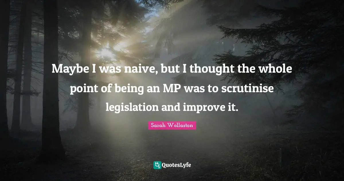 Maybe I was naive, but I thought the whole point of being an MP was to scrutinise legislation and improve it.