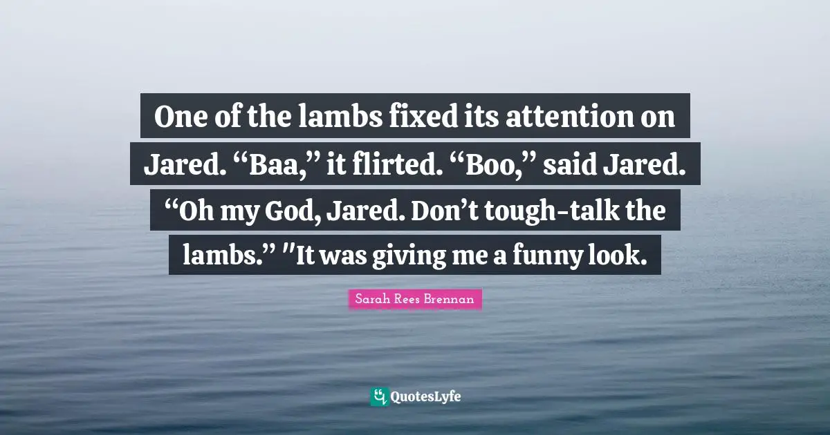One of the lambs fixed its attention on Jared. “Baa,” it flirted. “Boo,” said Jared. “Oh my God, Jared. Don’t tough-talk the lambs.” "It was giving me a funny look.