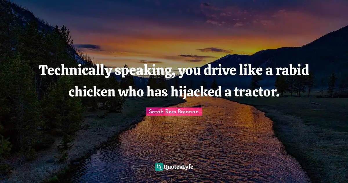 Technically speaking, you drive like a rabid chicken who has hijacked a tractor.