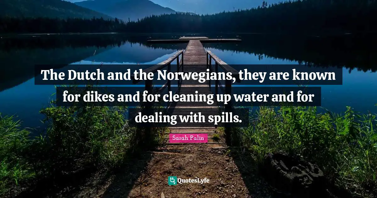 The Dutch and the Norwegians, they are known for dikes and for cleaning up water and for dealing with spills.