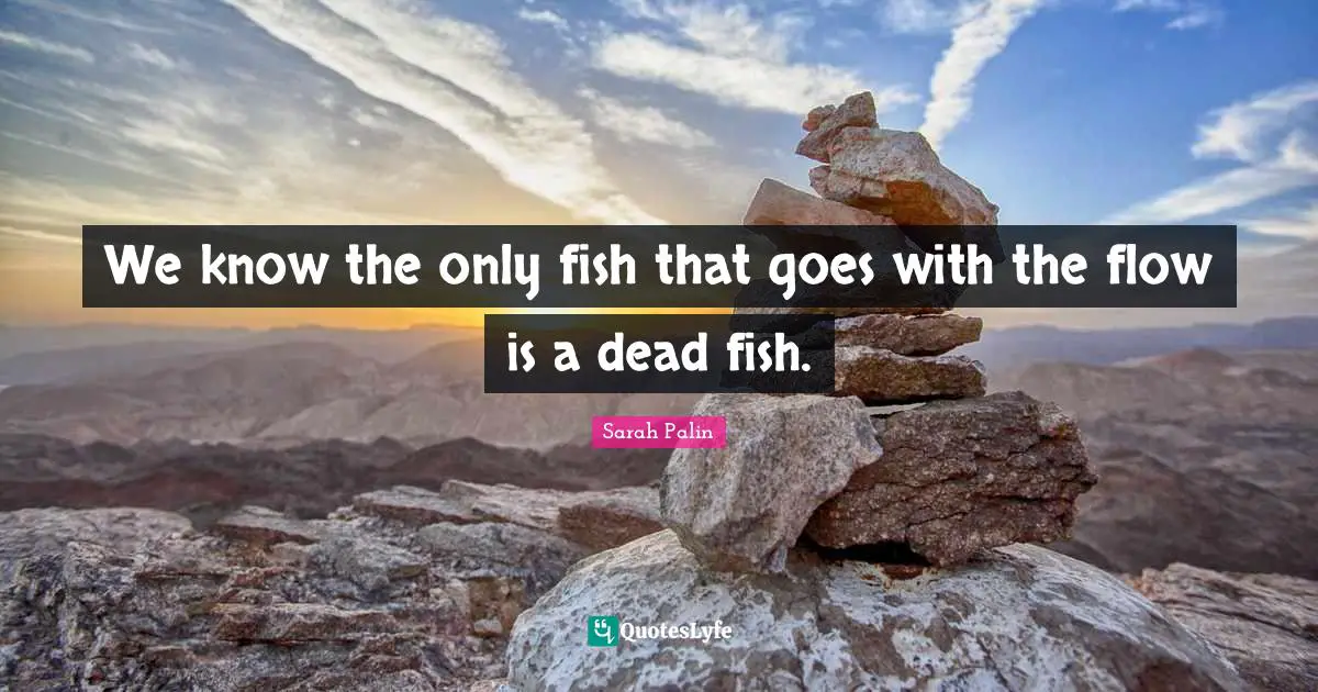 We know the only fish that goes with the flow is a dead fish.