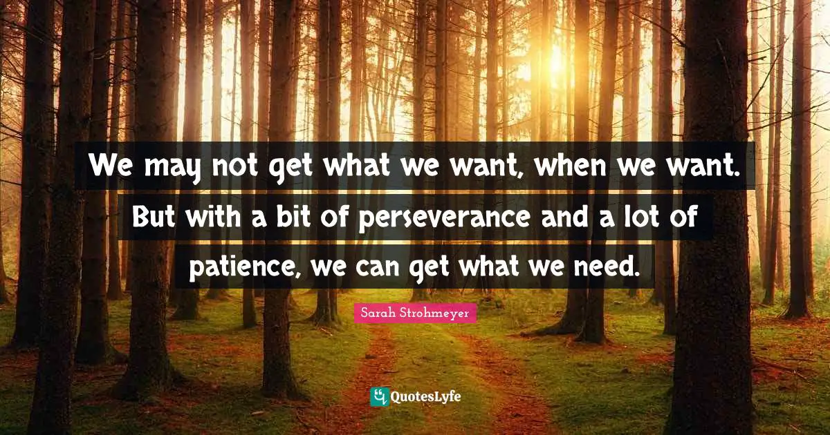 We may not get what we want, when we want. But with a bit of perseverance and a lot of patience, we can get what we need.