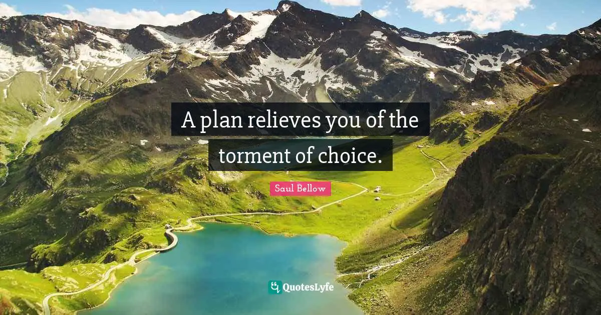 Saul Bellow Quotes: "A plan relieves you of the torment of choice."
