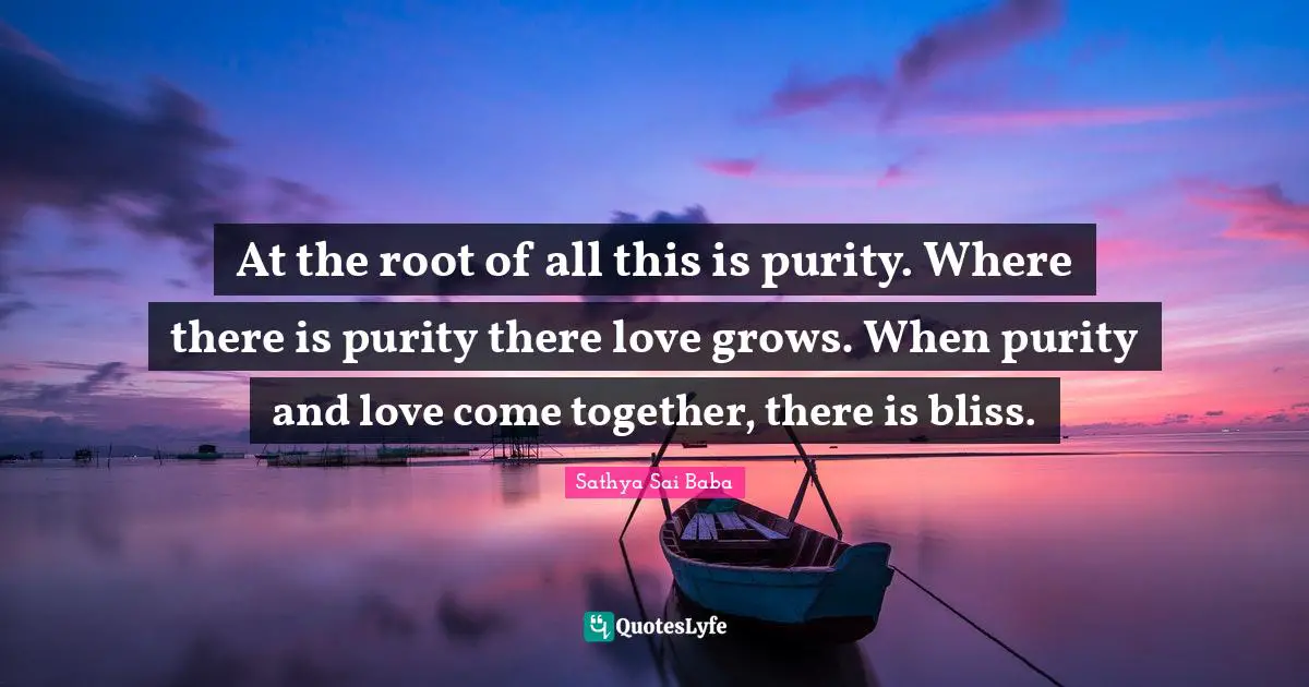 At the root of all this is purity. Where there is purity there love grows. When purity and love come together, there is bliss.