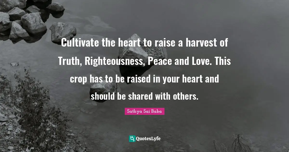 Righteousness Quotes: "Cultivate the heart to raise a harvest of Truth, Righteousness, Peace and Love. This crop has to be raised in your heart and should be shared with others."