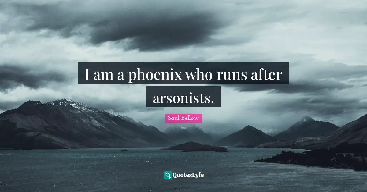 I am a phoenix who runs after arsonists.
