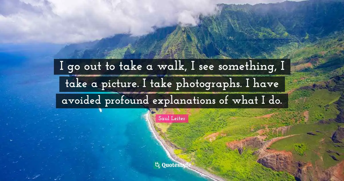 I go out to take a walk, I see something, I take a picture. I take photographs. I have avoided profound explanations of what I do.