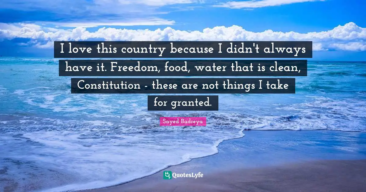 I love this country because I didn't always have it. Freedom, food, water that is clean, Constitution - these are not things I take for granted.