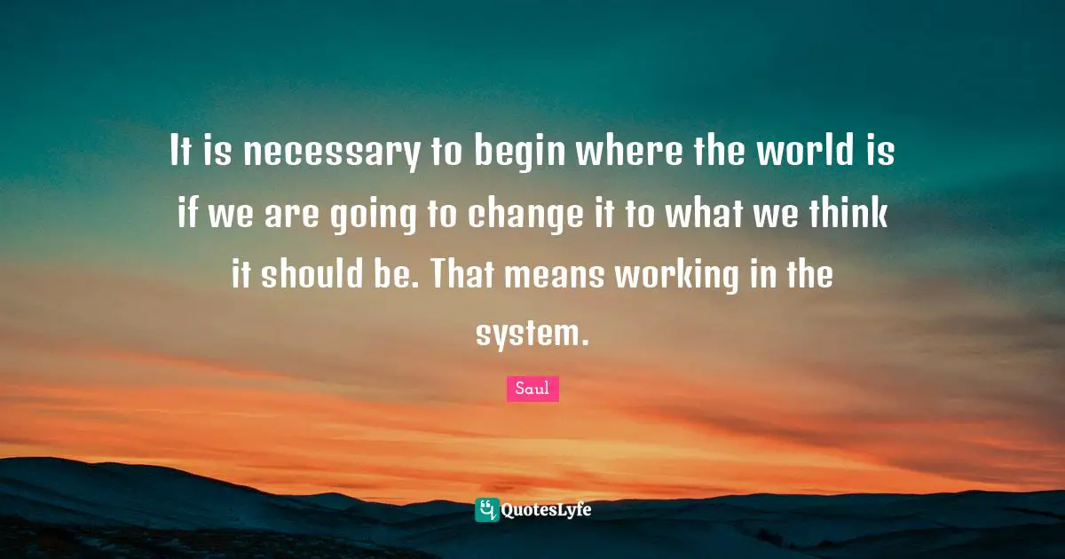 It is necessary to begin where the world is if we are going to change it to what we think it should be. That means working in the system.
