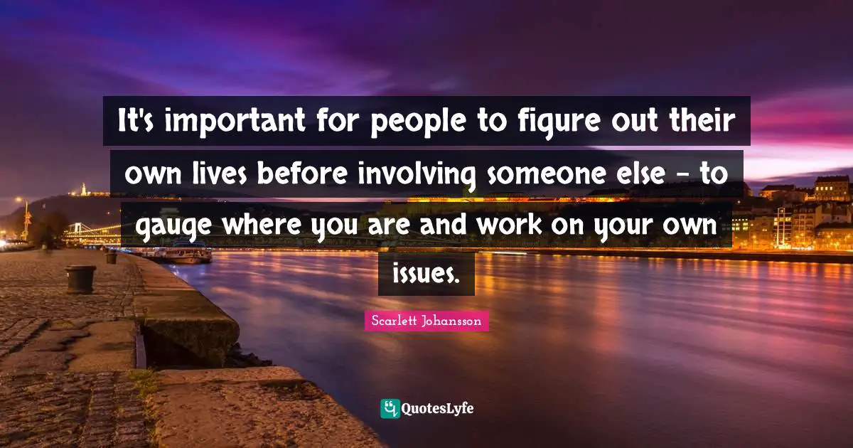 Important Issues Quotes: "It's important for people to figure out their own lives before involving someone else - to gauge where you are and work on your own issues."