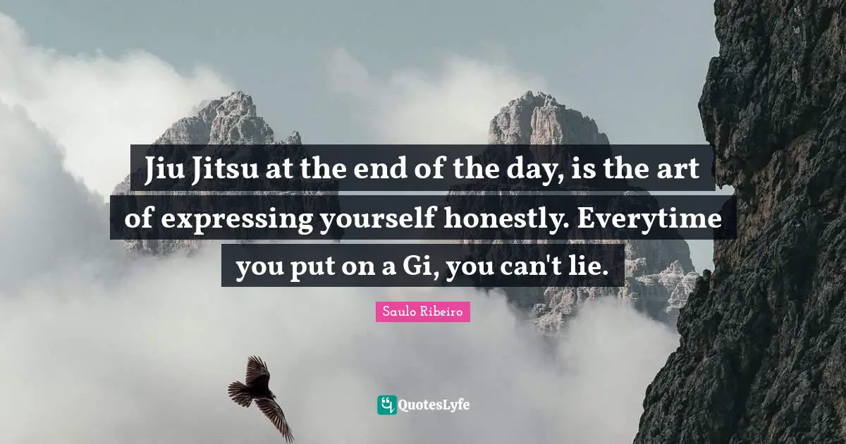 The End Of The Day Quotes: "Jiu Jitsu at the end of the day, is the art of expressing yourself honestly. Everytime you put on a Gi, you can't lie."