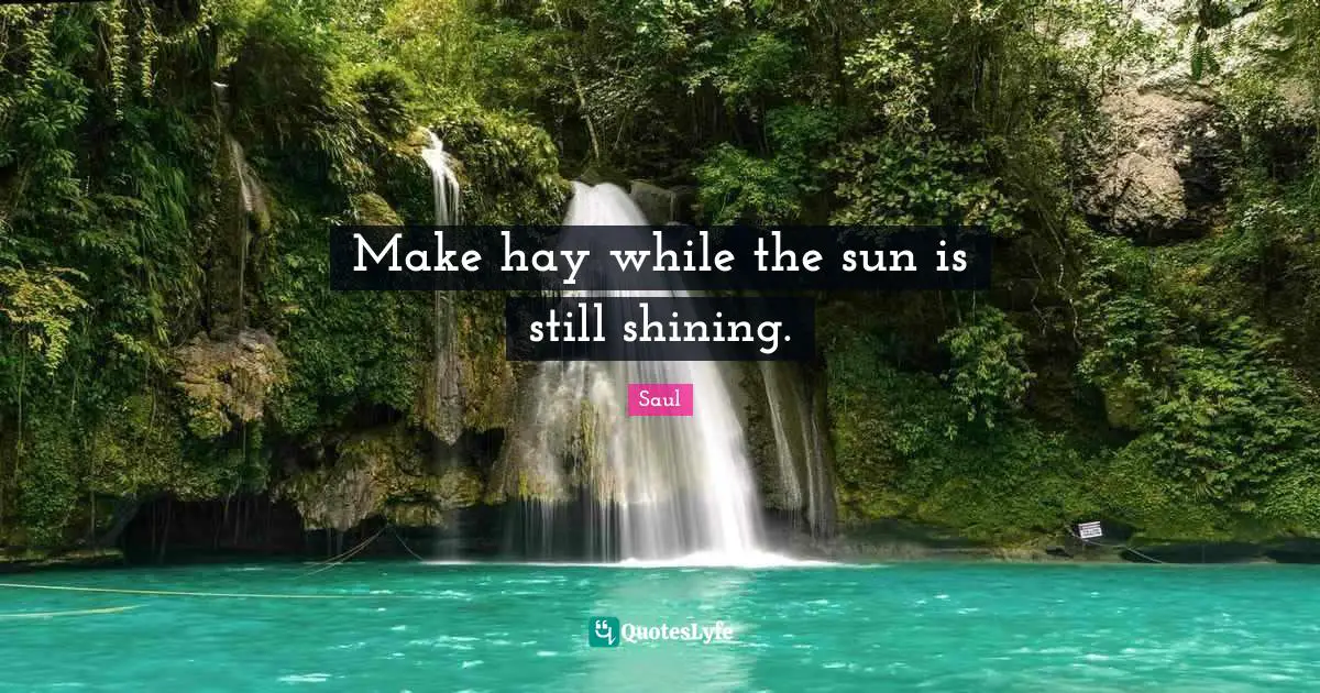 Make hay while the sun is still shining.