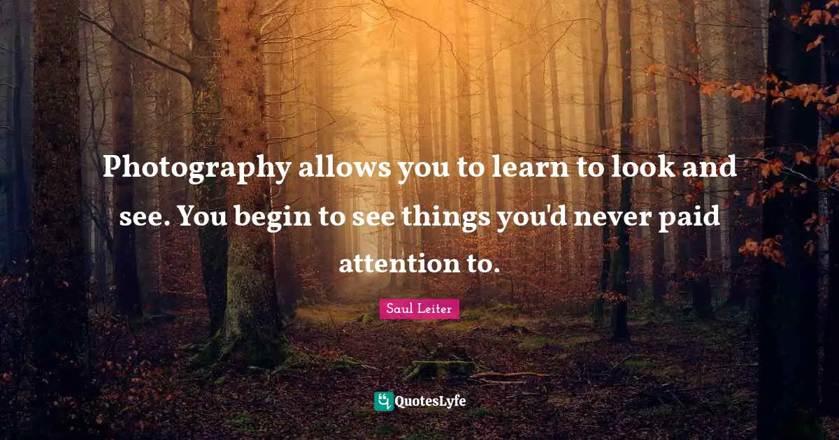 Photography Quotes: "Photography allows you to learn to look and see. You begin to see things you'd never paid attention to."