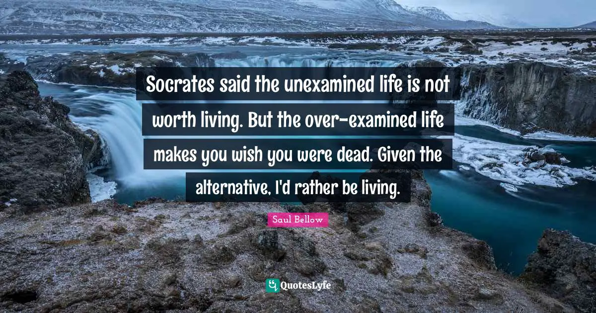Socrates said the unexamined life is not worth living. But the over-examined life makes you wish you were dead. Given the alternative, I'd rather be living.