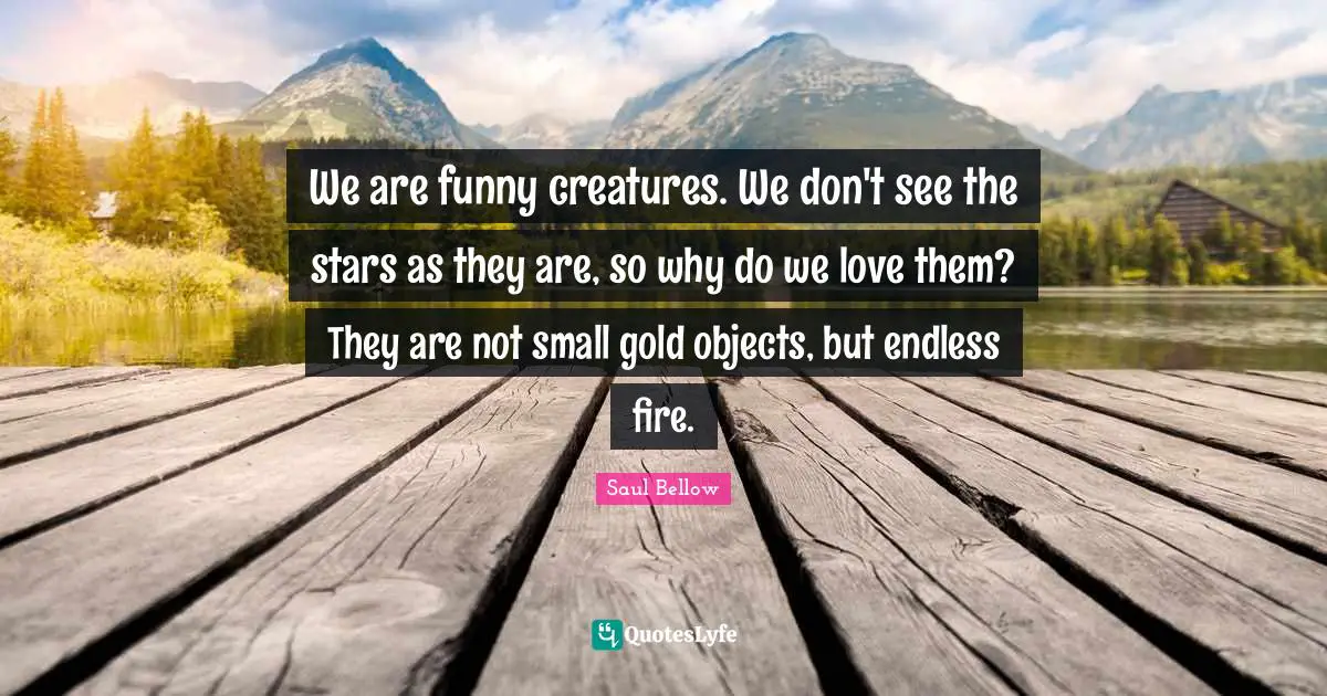 We are funny creatures. We don't see the stars as they are, so why do we love them? They are not small gold objects, but endless fire.