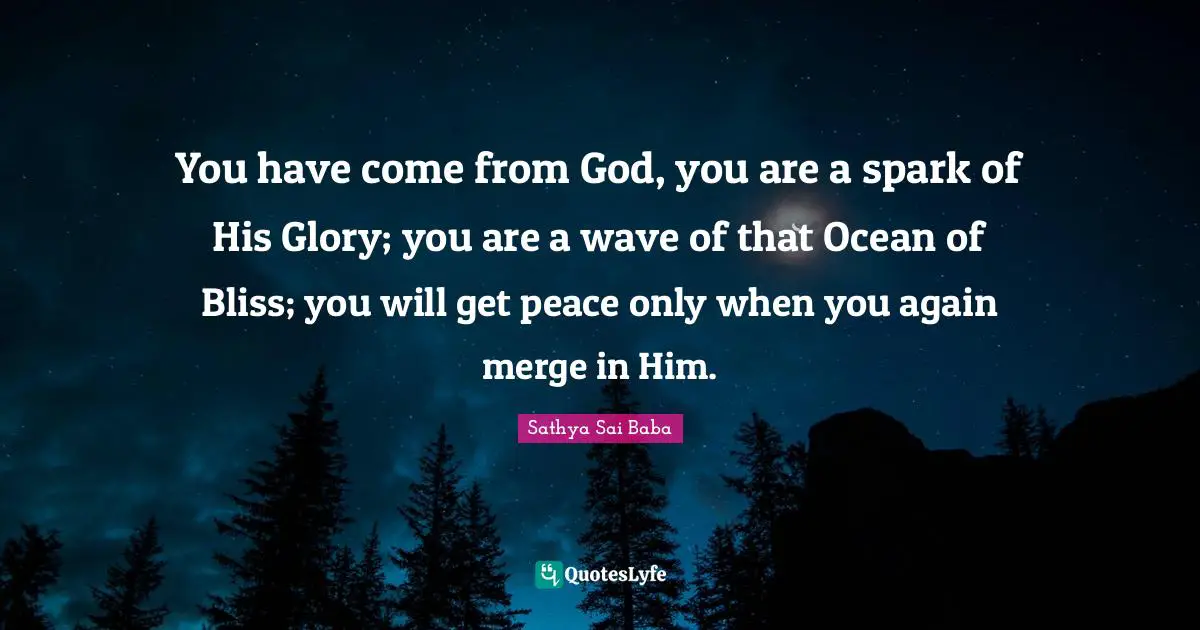 You have come from God, you are a spark of His Glory; you are a wave of that Ocean of Bliss; you will get peace only when you again merge in Him.