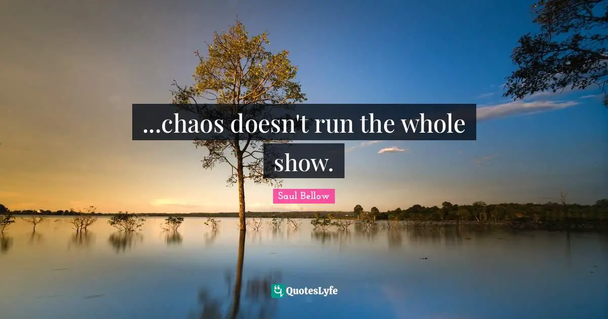 ...chaos doesn't run the whole show.