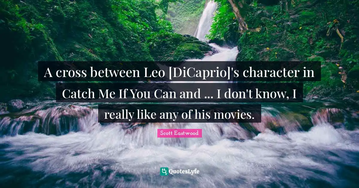 A cross between Leo [DiCaprio]'s character in Catch Me If You Can and ... I don't know, I really like any of his movies.