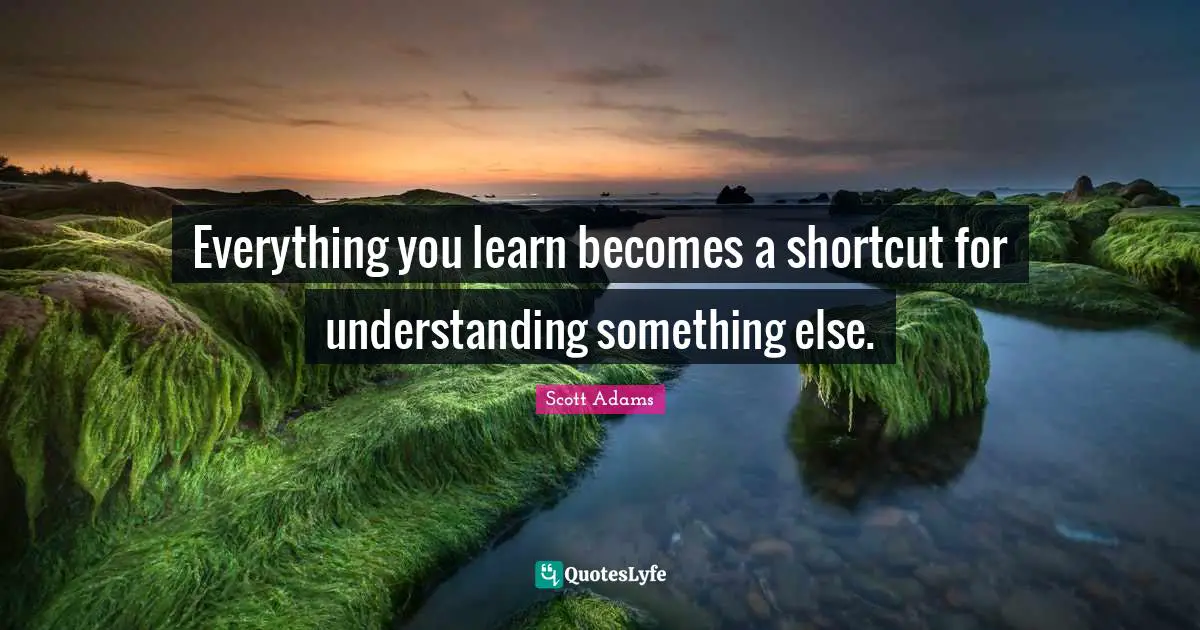 Everything you learn becomes a shortcut for understanding something else.