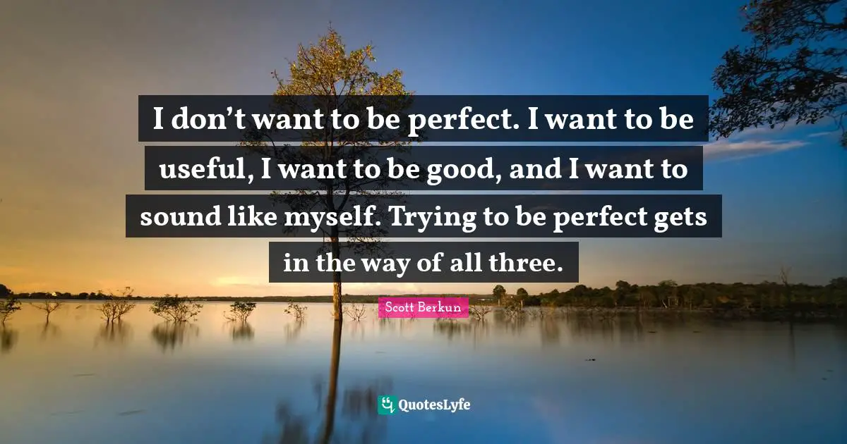 I don’t want to be perfect. I want to be useful, I want to be good, and I want to sound like myself. Trying to be perfect gets in the way of all three.