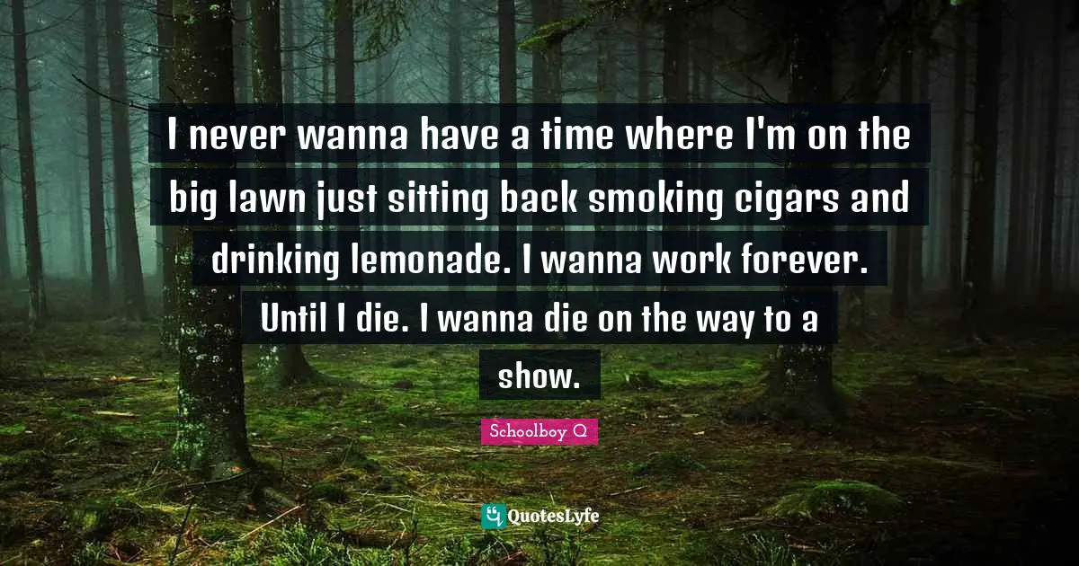 I never wanna have a time where I'm on the big lawn just sitting back smoking cigars and drinking lemonade. I wanna work forever. Until I die. I wanna die on the way to a show.