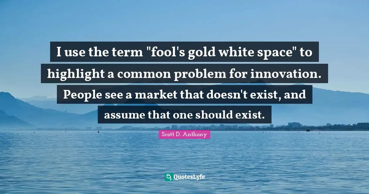 I use the term "fool's gold white space" to highlight a common problem for innovation. People see a market that doesn't exist, and assume that one should exist.