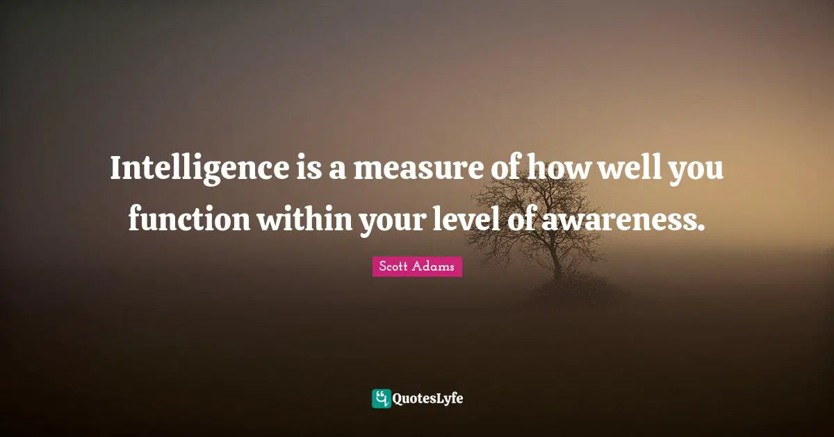 Intelligence is a measure of how well you function within your level of awareness.