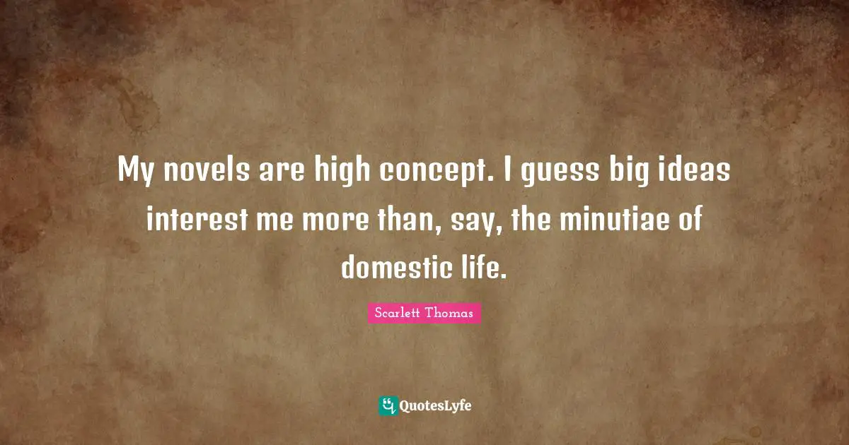 My novels are high concept. I guess big ideas interest me more than, say, the minutiae of domestic life.