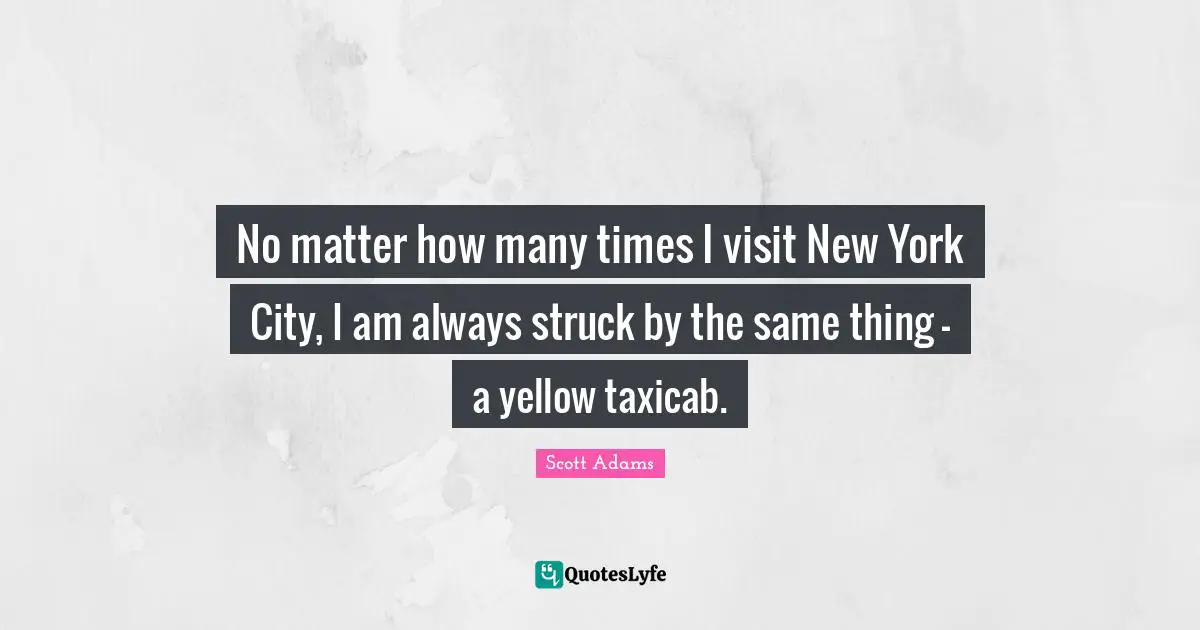 No matter how many times I visit New York City, I am always struck by the same thing - a yellow taxicab.
