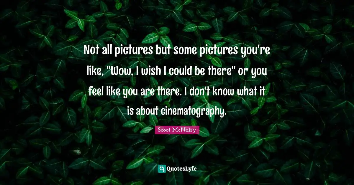 Not all pictures but some pictures you're like, "Wow, I wish I could be there" or you feel like you are there. I don't know what it is about cinematography.