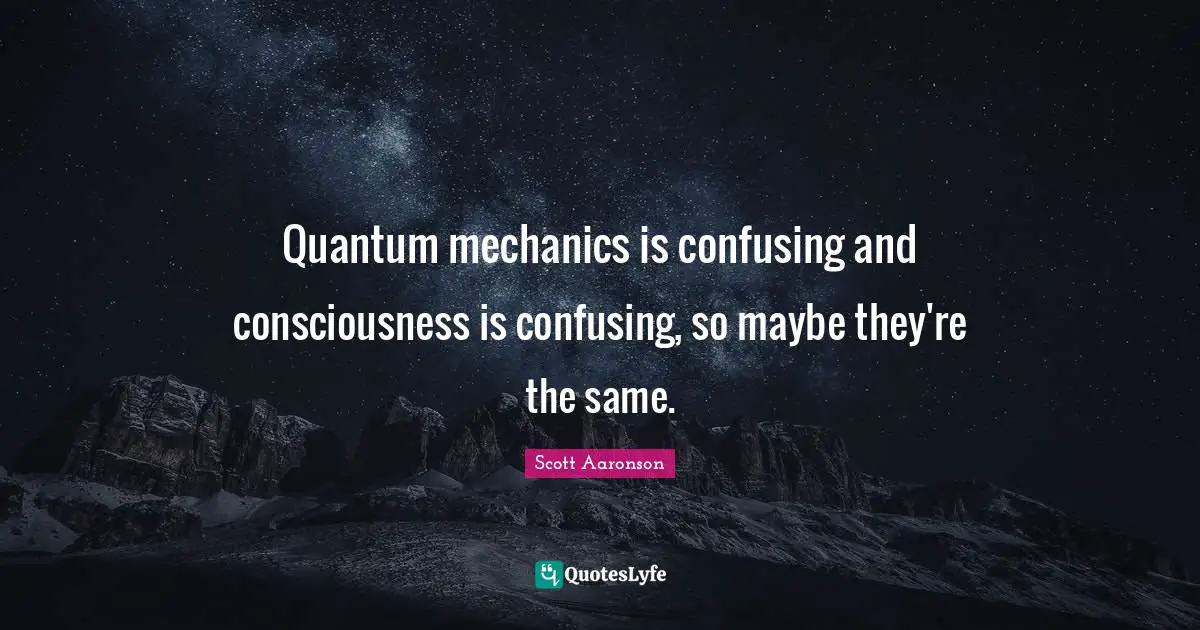 Quantum mechanics is confusing and consciousness is confusing, so maybe they're the same.